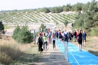 MarkusSchulze F60tria24SD 0024